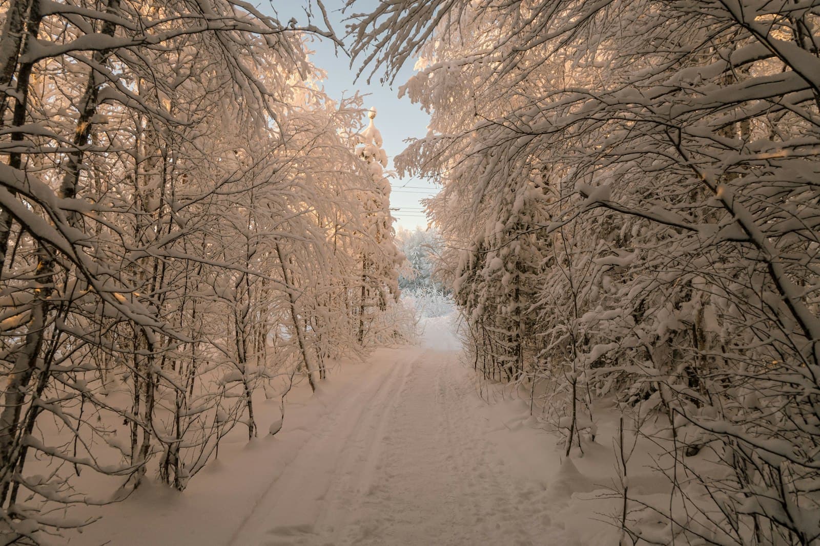 Snötäckt väg genom skog i Norrbotten
